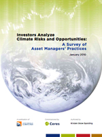 Investors Analyze Climate Risks and Opportunities: A Survey of Asset Manager Practices