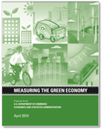 Measuring the Green Economy