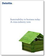 Sustainability in Business Today: A Cross-Industry View