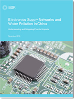 Electronics Supply Networks and Water Pollution in China