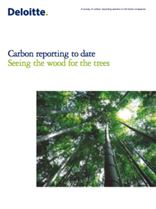 Carbon Reporting to Date: Seeing the wood for the trees