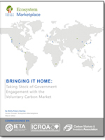 How governments are embracing voluntary carbon markets