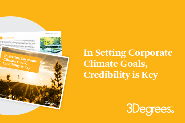 In Setting Corporate Climate Goals, Credibility is Key