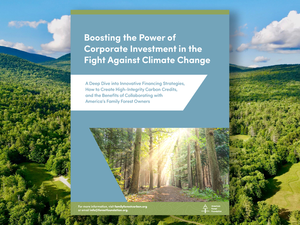 American_Forest_Foundation_11_7_23_resource_cover_image