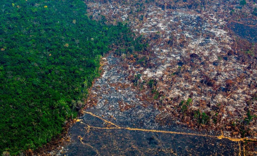 Deforestation aerial
