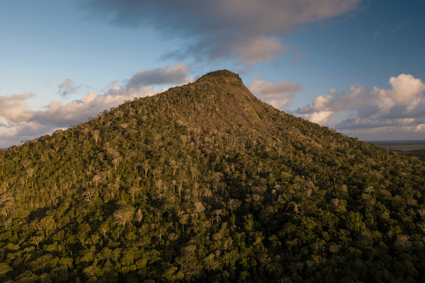 Monte Pascoal National Park (Portuguese: Parque Nacional e Histórico do Monte Pascoal) is a national park in the state of Bahia