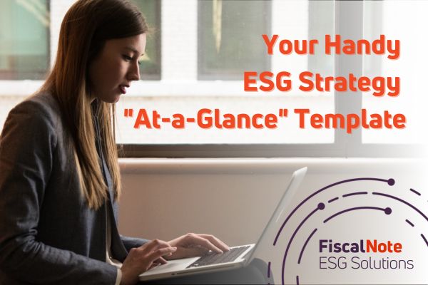 Woman doing work on a laptop with the title Your Handy ESG Strategy 