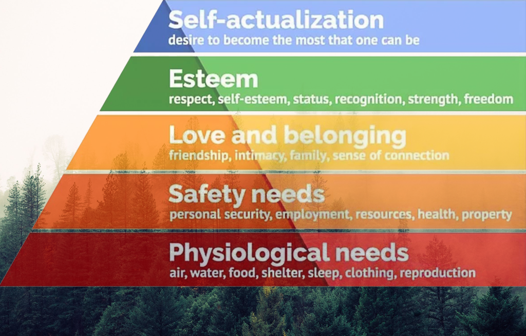 Maslow's hierarchy of needs