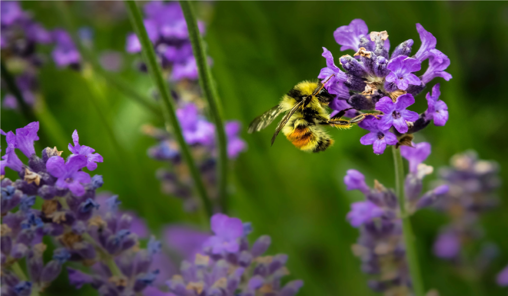 Companies are understanding the importance of nature to their business and starting to take meaningful action.