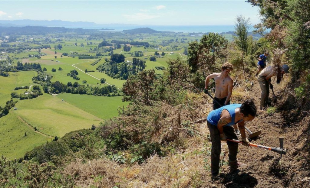A forest restoration project on New Zealand's Golden Bay developed by Ekos