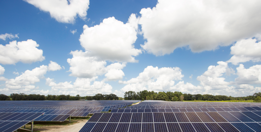 Solar panels operated by NextEra Energy