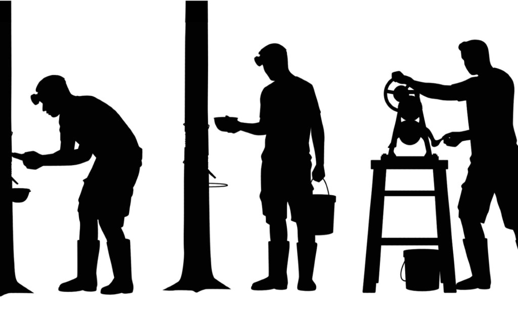 An illustration of the process of tapping rubber trees by hand. Source: Shutterstock/Black Creator 24