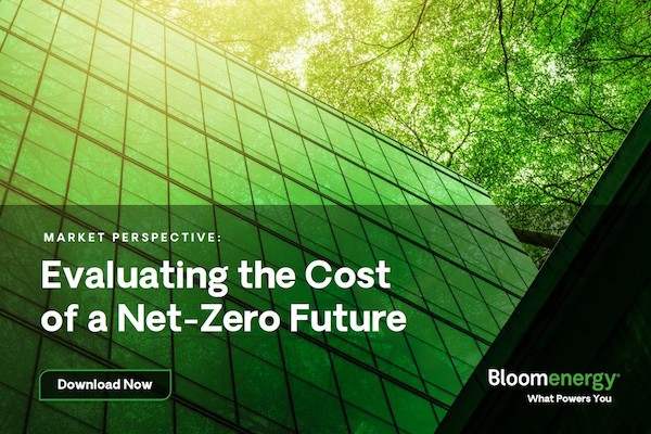 Evaluating the Cost of a Net-Zero Future