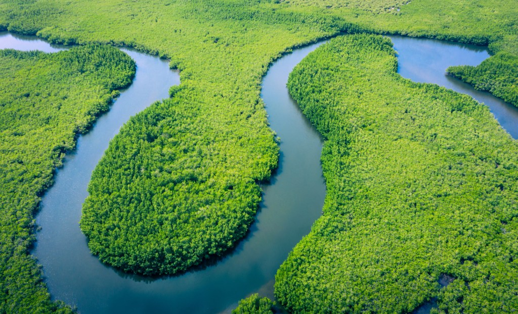 Aerial view of Amazon River.