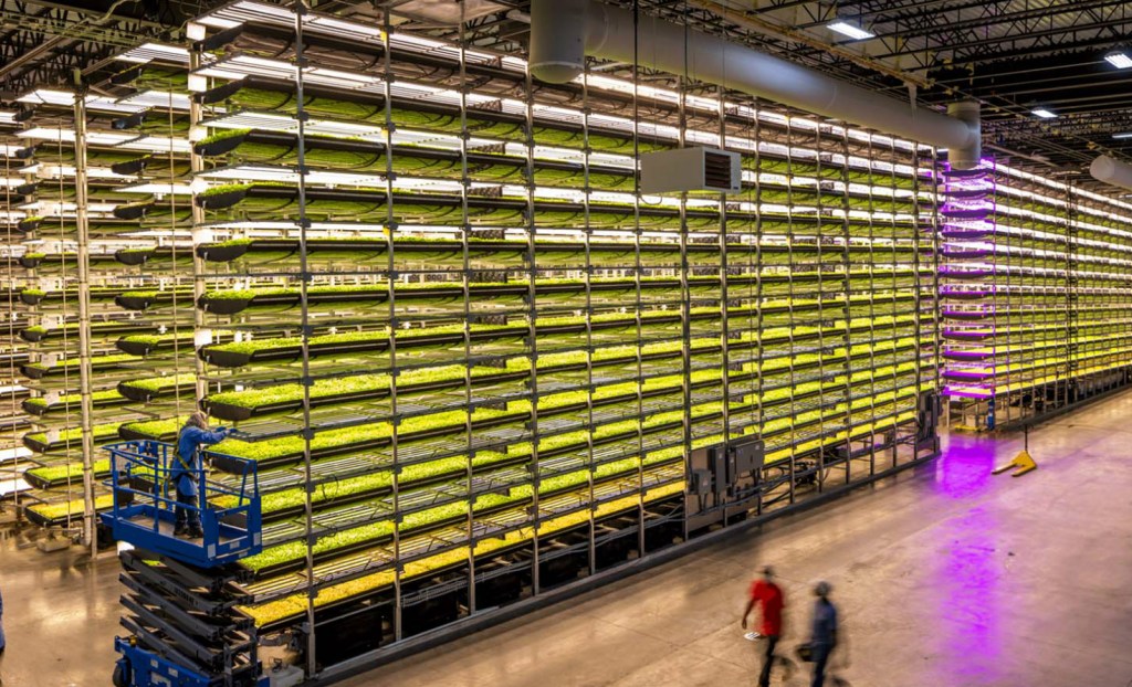 An AeroFarms growing facility in Newark