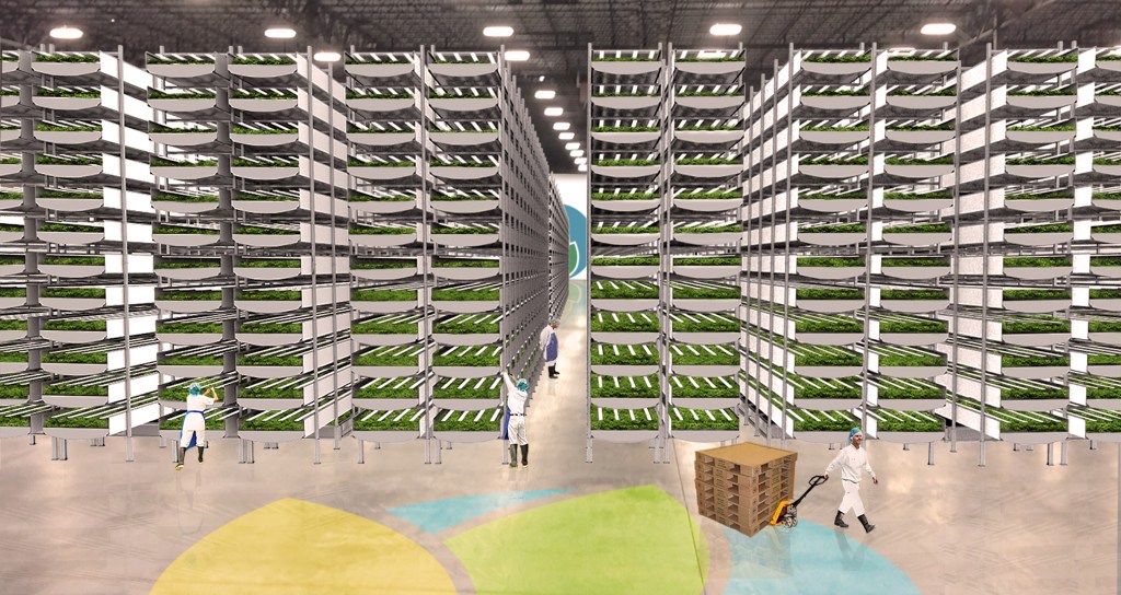 AeroFarms association for vertical farm