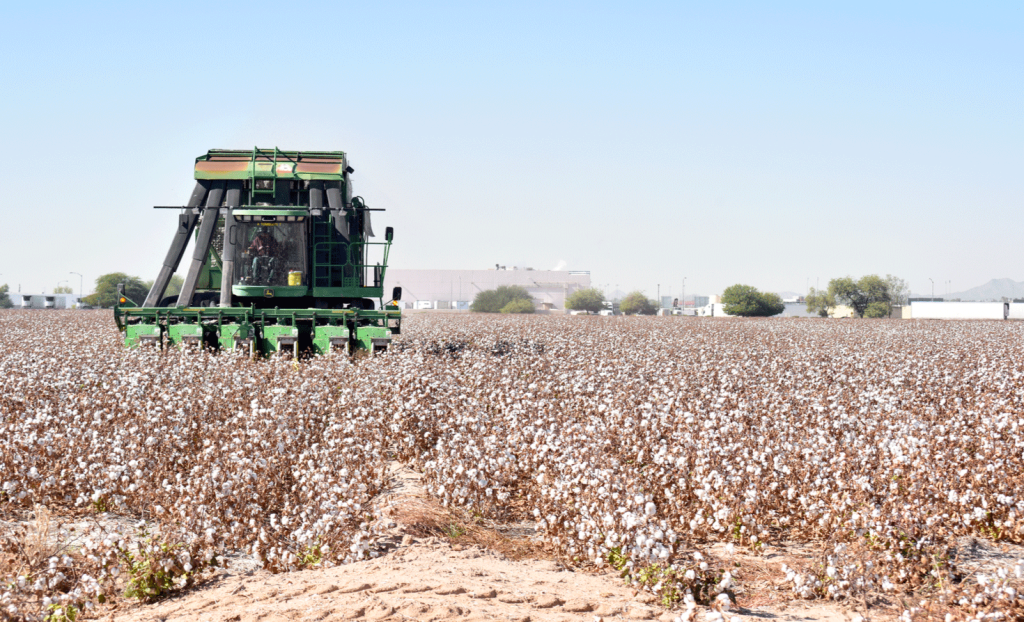 A John Deere cotton harvester harvesting cotton in Goodyear