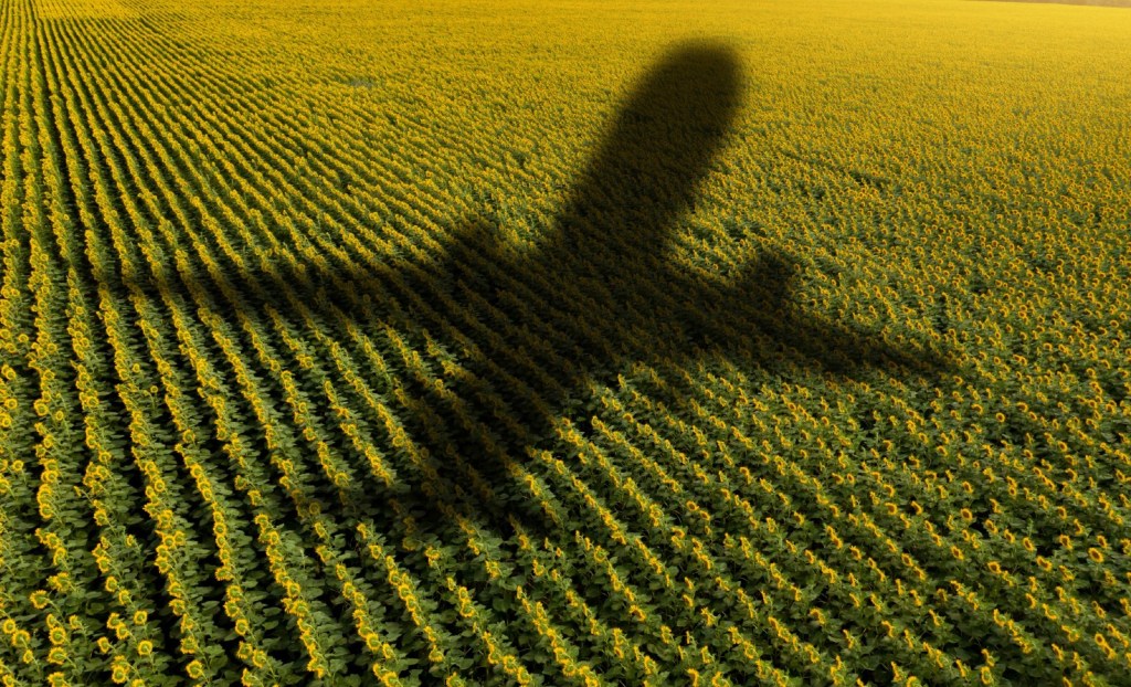 A jet's shadow over a field.