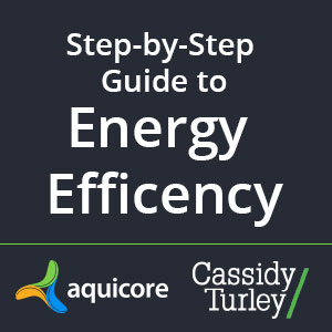 Step­ by­ Step guide to Energy Efficiency for Buildings (eBook)