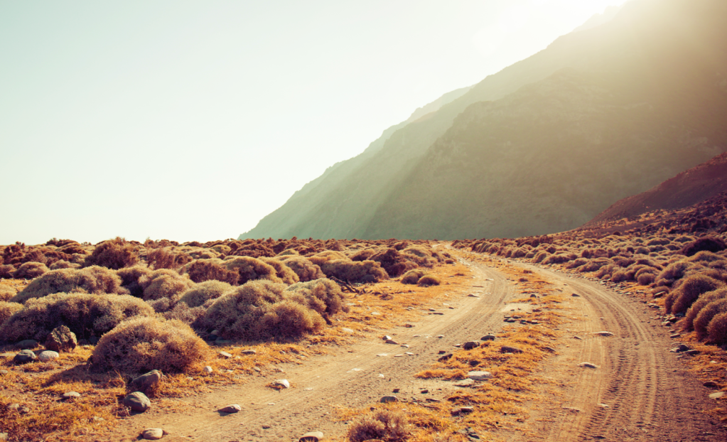 Dirt roads