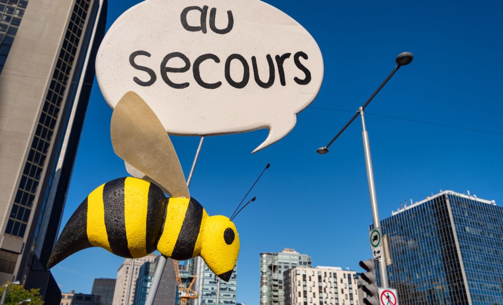 In a Montreal protest