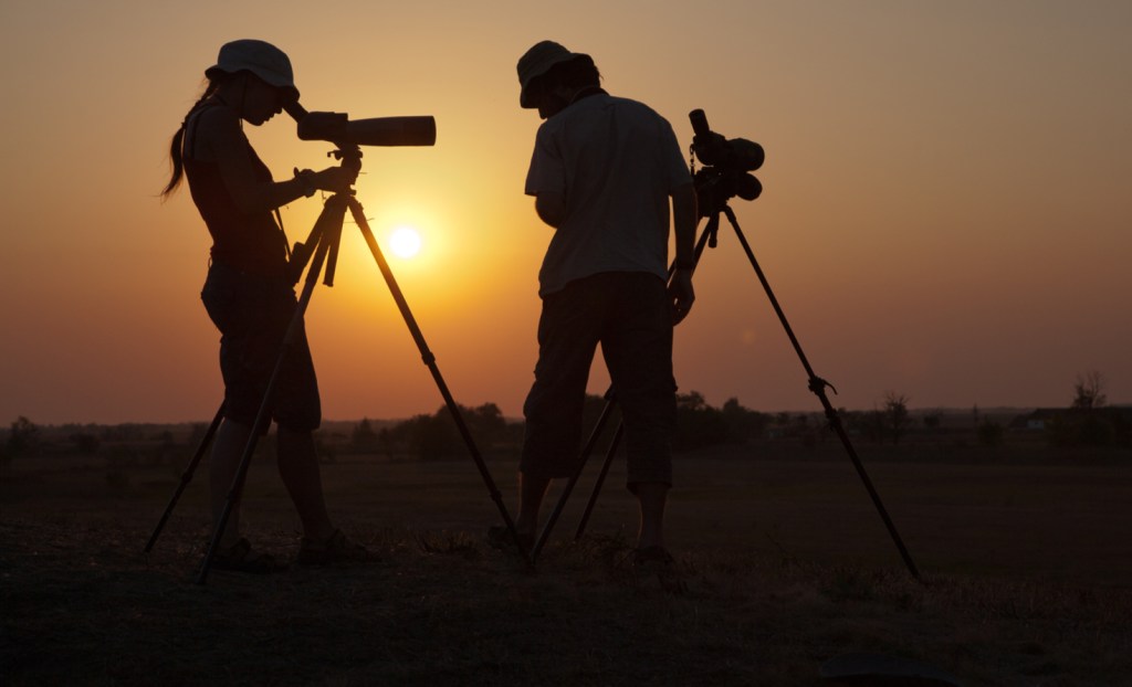 Bird watchers at sunset.