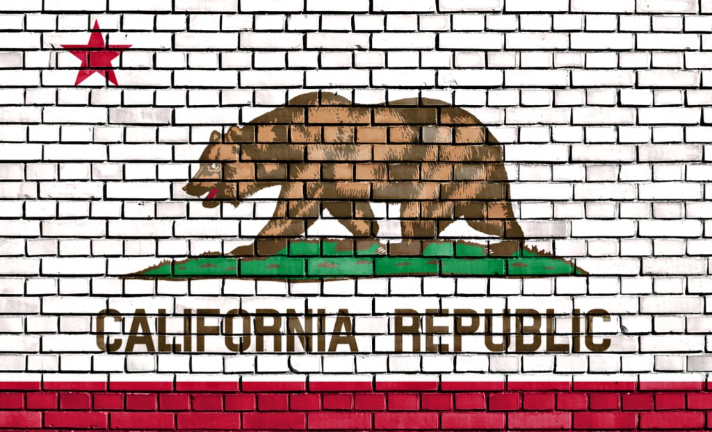 California flag in brick wall