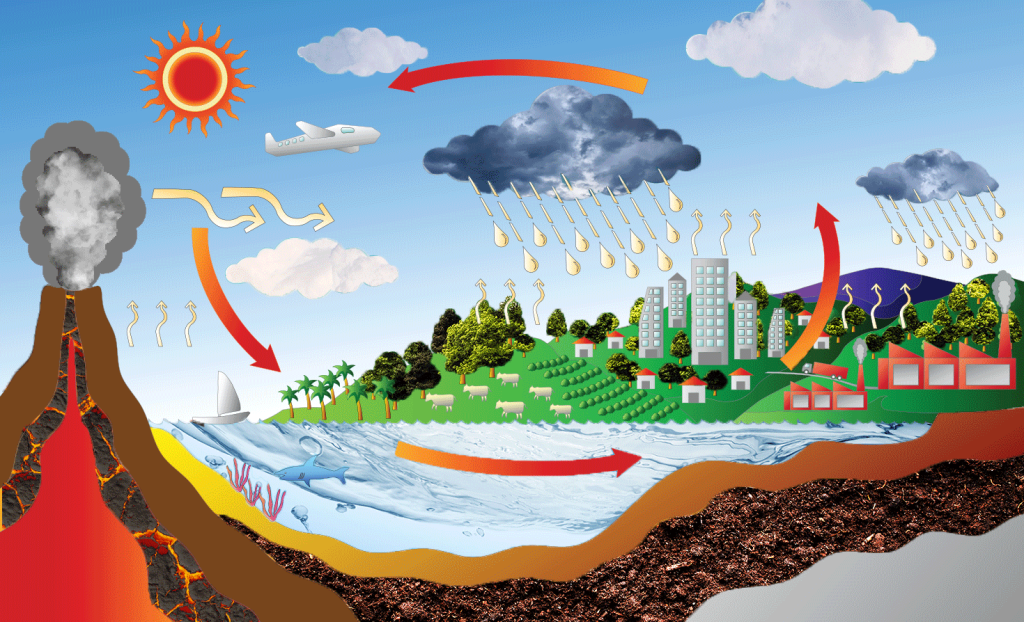 diagram of the carbon cycle