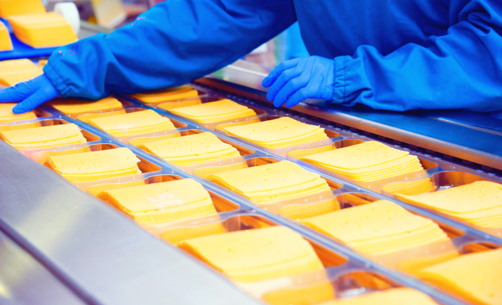 cheese production in a factory