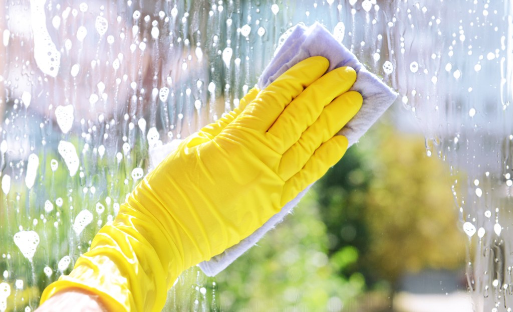 Cleaning Glove