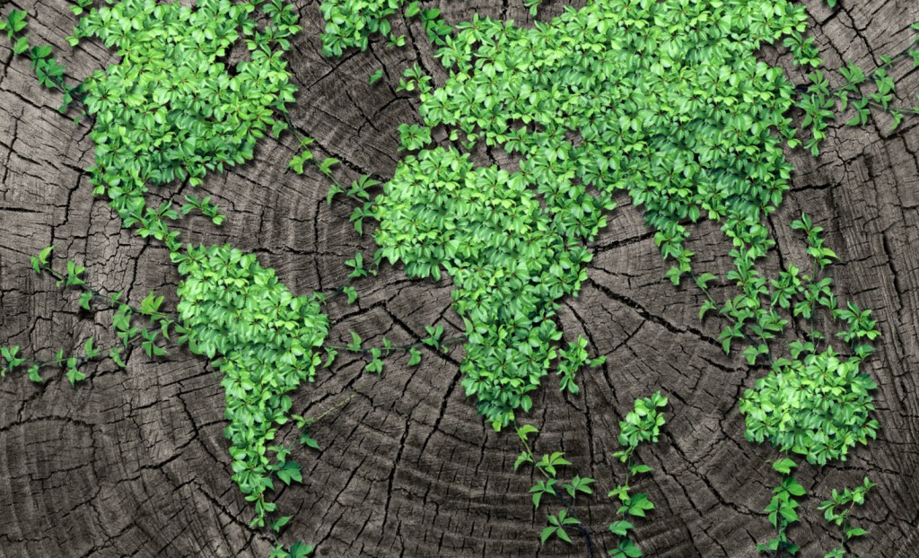 Illustration of conservation of natural resources.