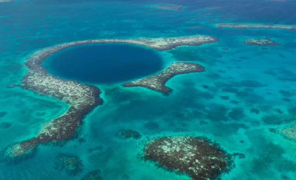 Coral reef in Belize