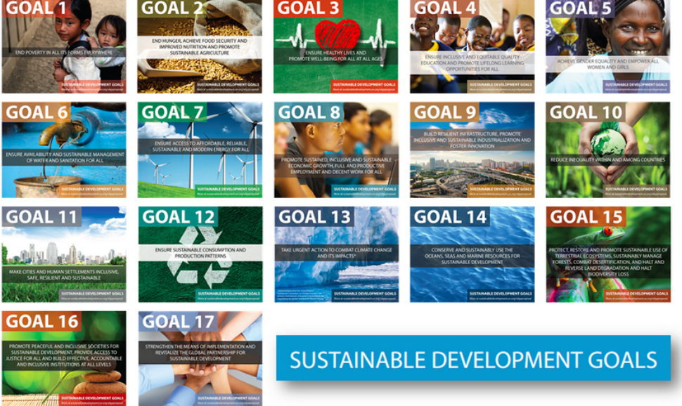 Corporate Citizenship graphic of the 17 Sustainable Development Goals