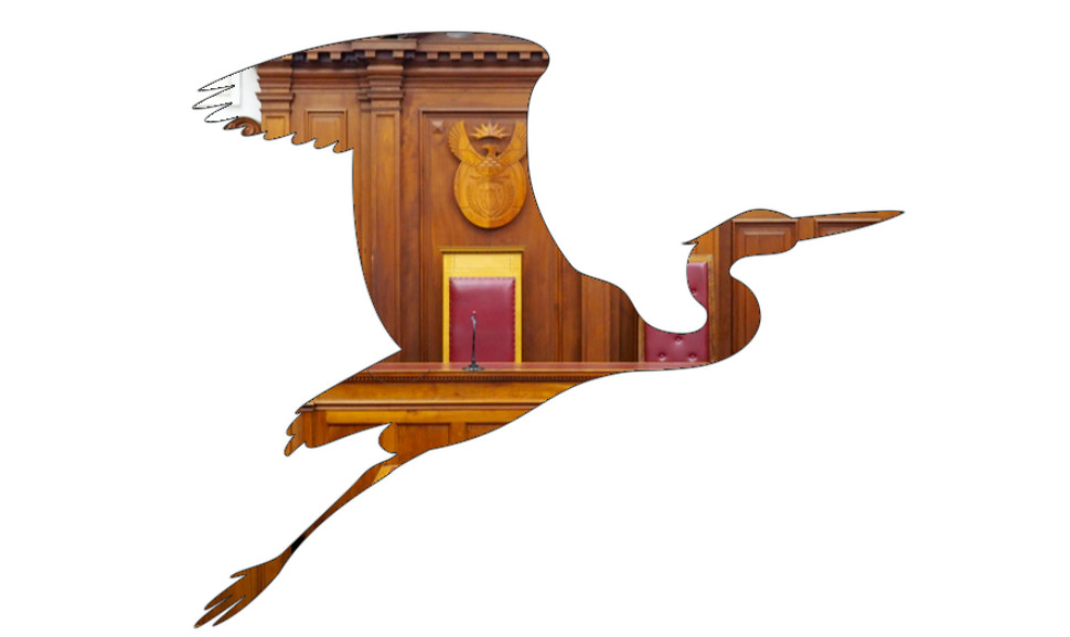 A courtroom photograph appears inside the shape of a blue heron.
