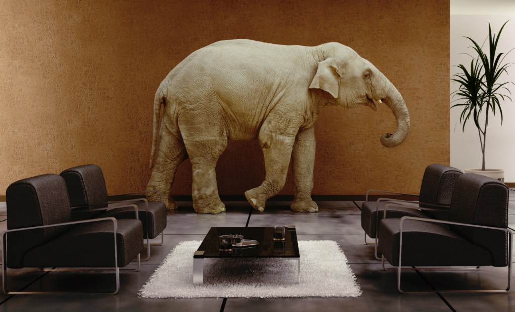 Elephant in the room