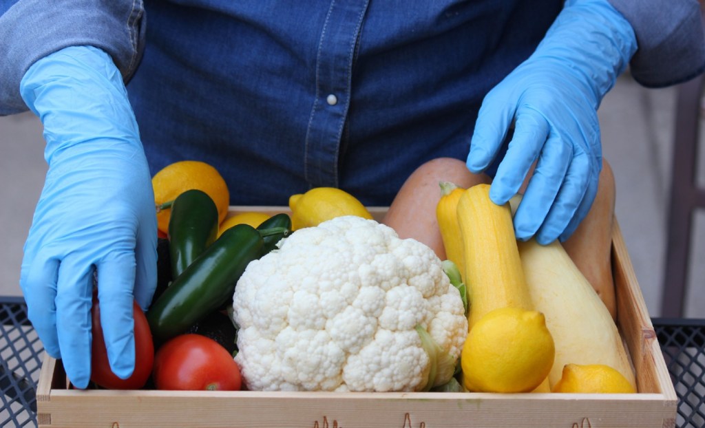 Fresh produce handled by someone wearing disposable gloves.