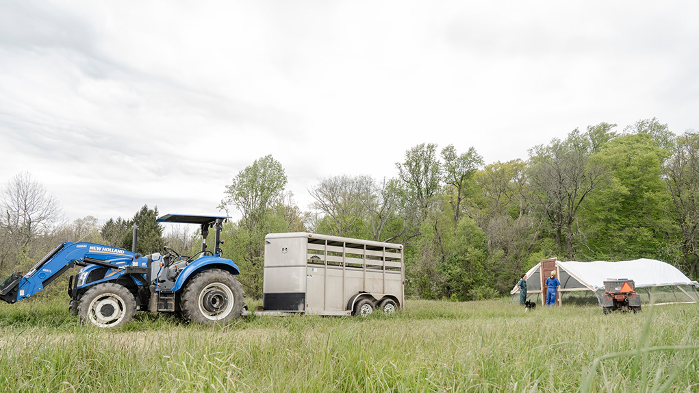 First-generation farmers at Pasture Song Farm Pottstown