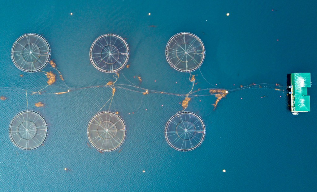 Aerial view of a fish farm in Vancouver.