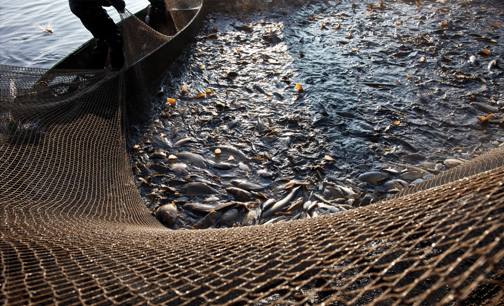 Fishing nets from industrial fishing boat