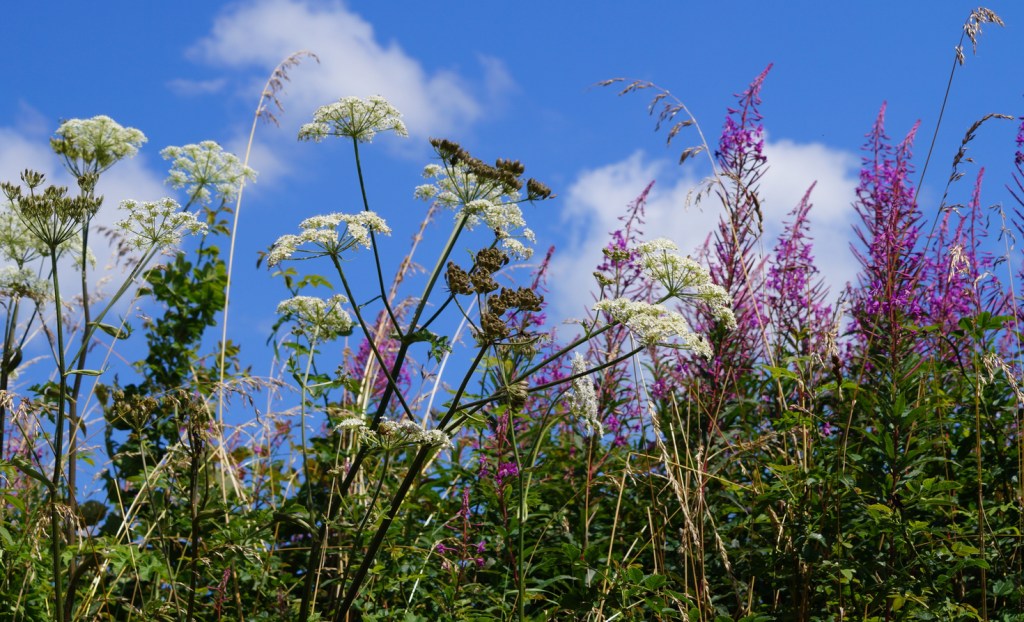 By protecting pollinators