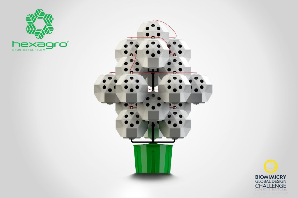 hexagro