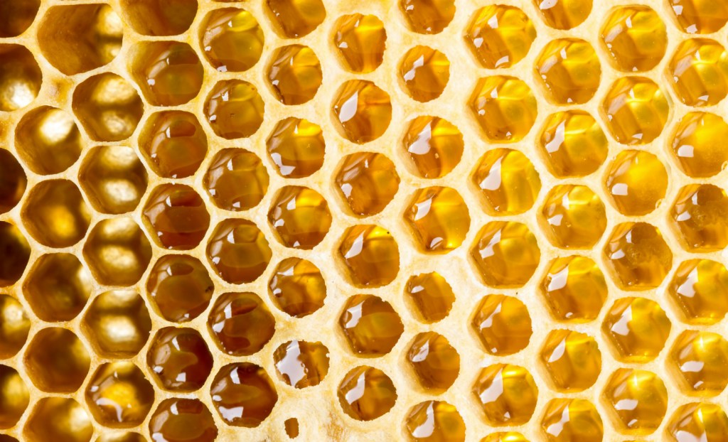 A honeycomb close-up