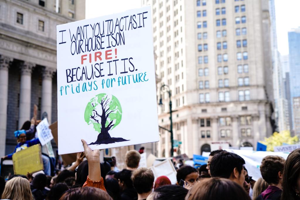 Global Climate Strikes NYC
