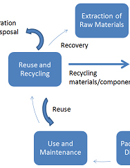 Life Cycle Assessment: A Guide for Sustainability and Strategy Executives