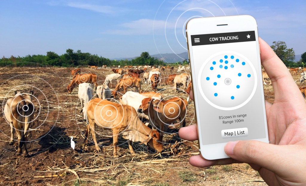 LPWAN tracking agriculture