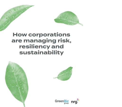 How Corporations are Managing Risk, Resiliency and Sustainability Report