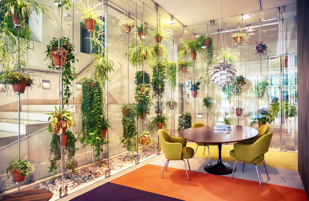 Office plants