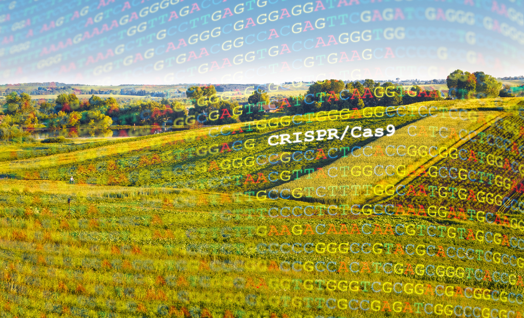 farm field with dna over it