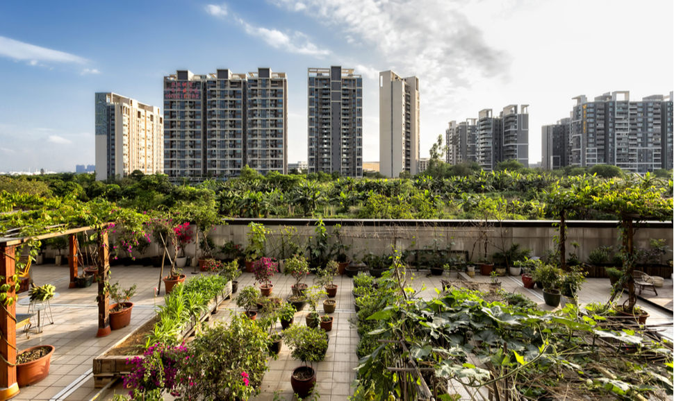 View of an urban garden in the Panyu District in Guangzhou