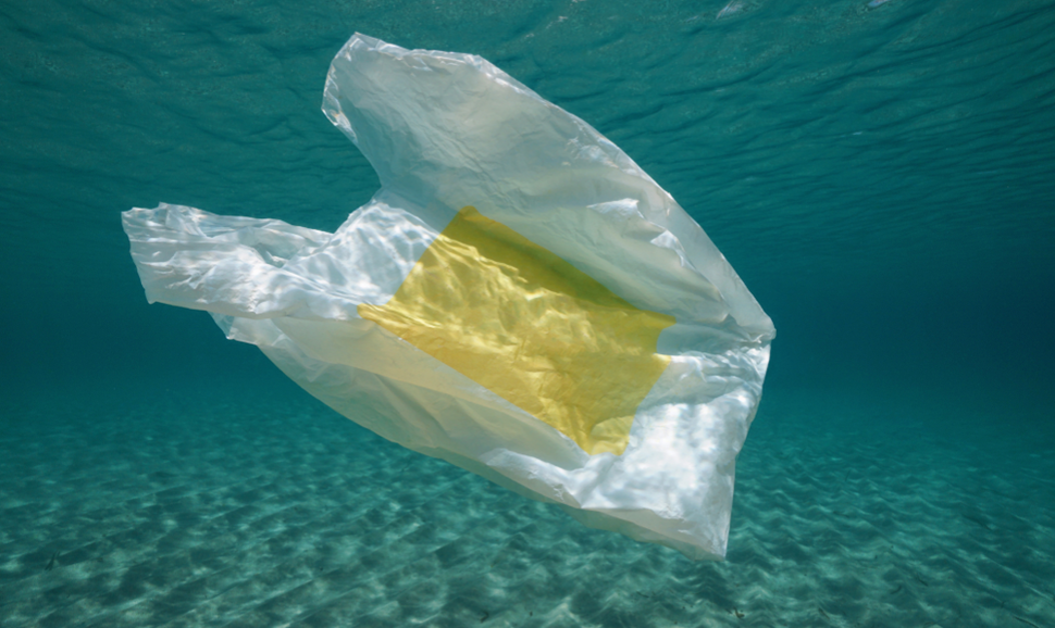 Plastic bag polluting the Mediterranean